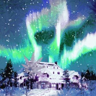 BreezyKiefair's profile picture. writer, artist, activist, mmj patient, @breezykiefair https://t.co/dOAX9gtJrE. btokeefer@gmail.com