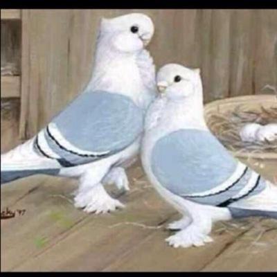 اللّهُمَّ اجْعَلنِي مِنَ التَّوّابينَ وَاجْعَلْني مِنَ المتَطَهّرينَ”