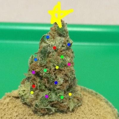 Epic420tweets's profile picture. It's 4:20 somewhere; Come get high with me