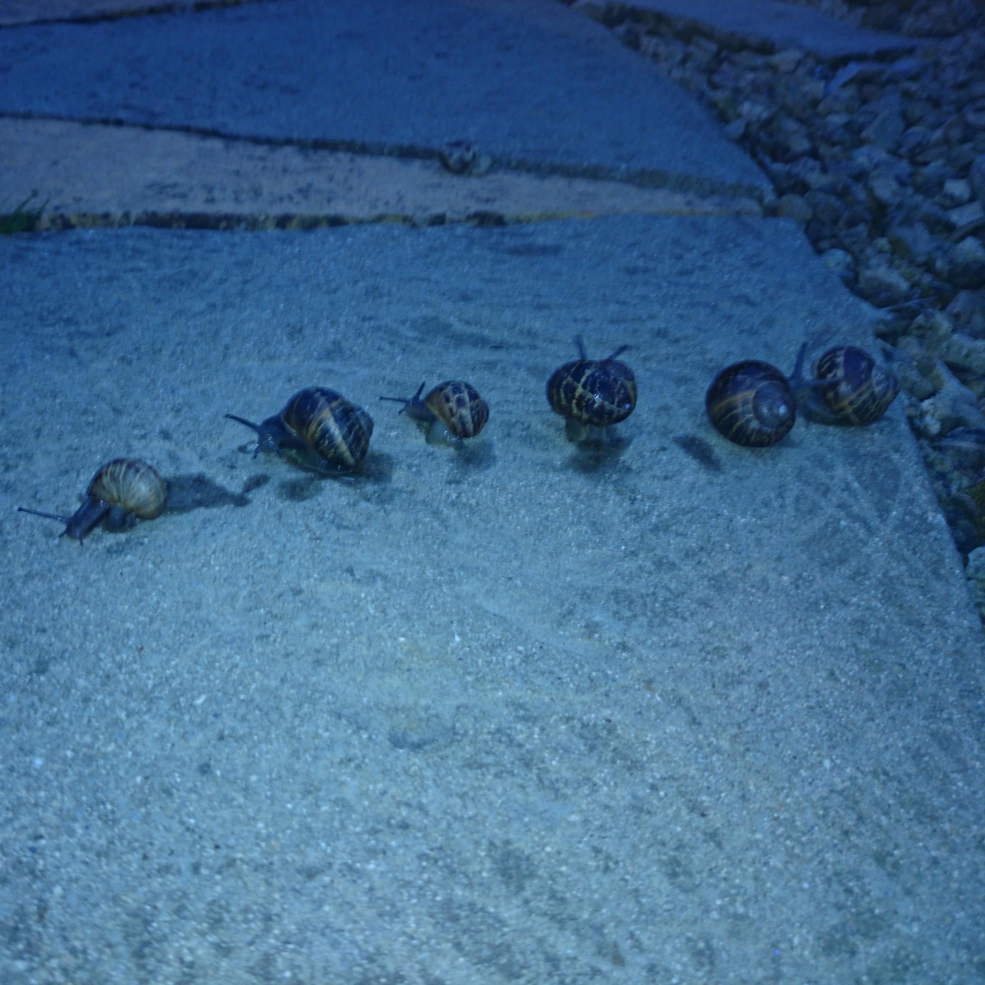 ShaneWardle89's profile picture. 