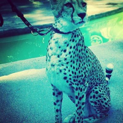 ضيفني اضيفك
ماتضيفي احدرك
