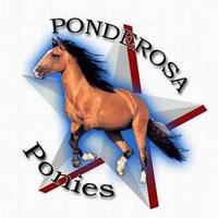 Ponderosa Elementary (@ponderosaelem) 's Twitter Profile