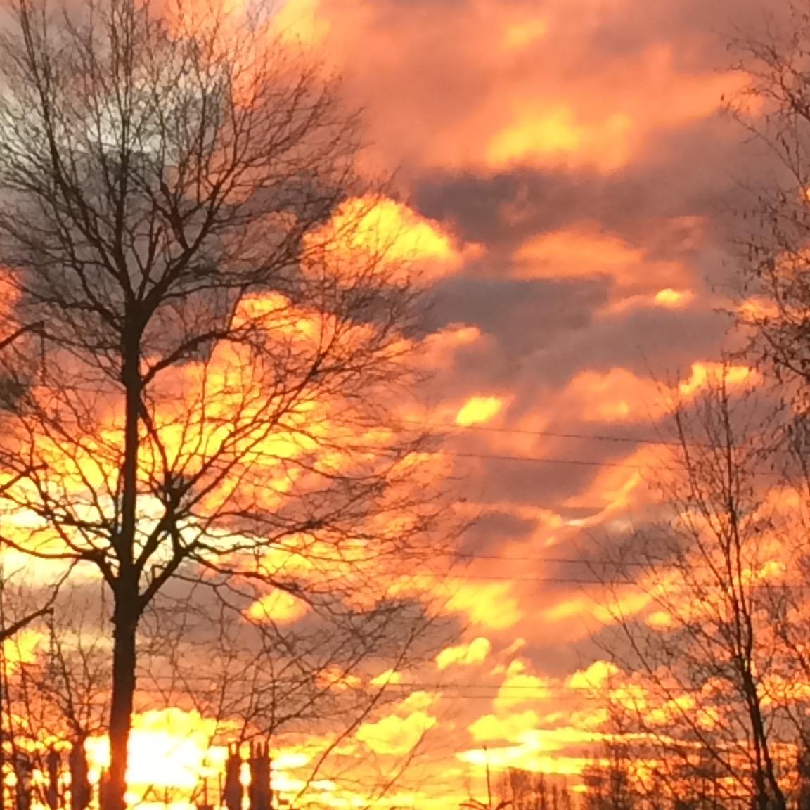 DeleteAccount38's profile picture. 