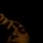 tokersunited's profile image
