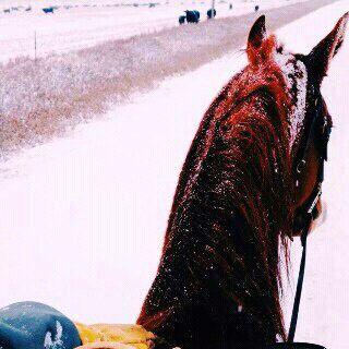 سبحان الله وبحمده سبحان الله العظيم .