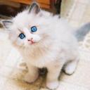 Alma Pina - @vmgmjm - Twitter