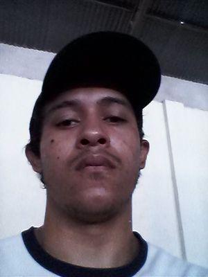 noii e fera