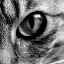 Alex Sable - @alexsable - Twitter