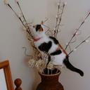 Barry Waldron - @washyawindas - Twitter