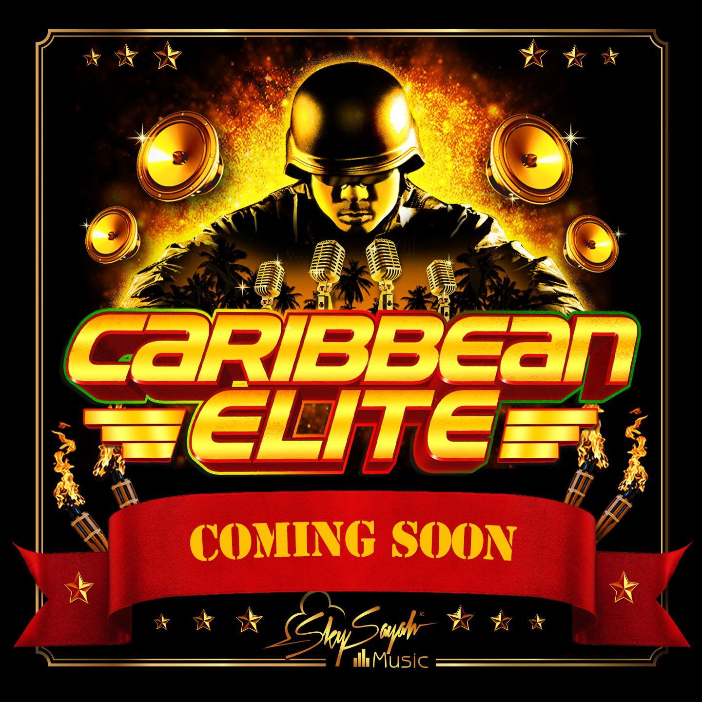 Tous les poids lourds du Dancehall francophone et non-francophone. Rassembler les artistes du mainstream et les artistes du milieu Soundsystem.