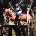 Rebecca Sisson - @rebeccamaeers - Twitter