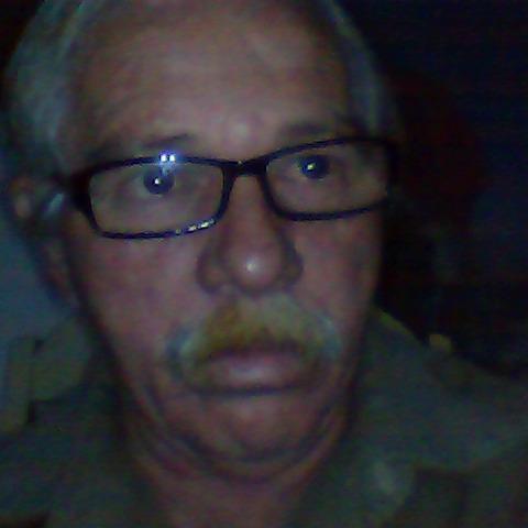 luizama29288651's profile picture. 