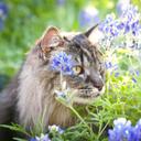 Roxanne Farris - @Roxfarris - Twitter