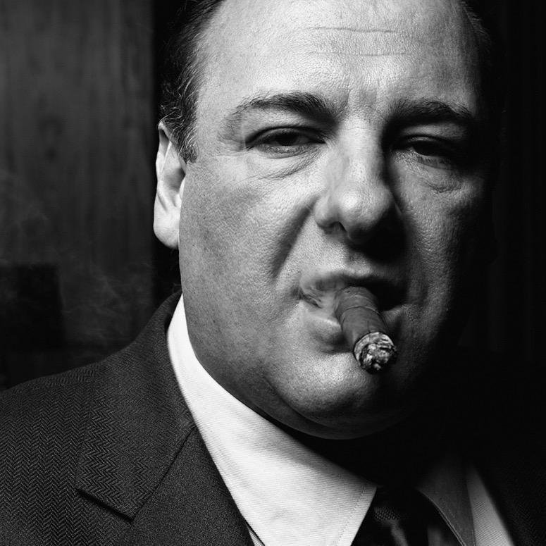 GandolfiniQs's profile picture. James Gandolfini remembered for his roll infamous as Tony Soprano. Quotes about life, Inspirational quotes. Watch Sopranos Season's Online