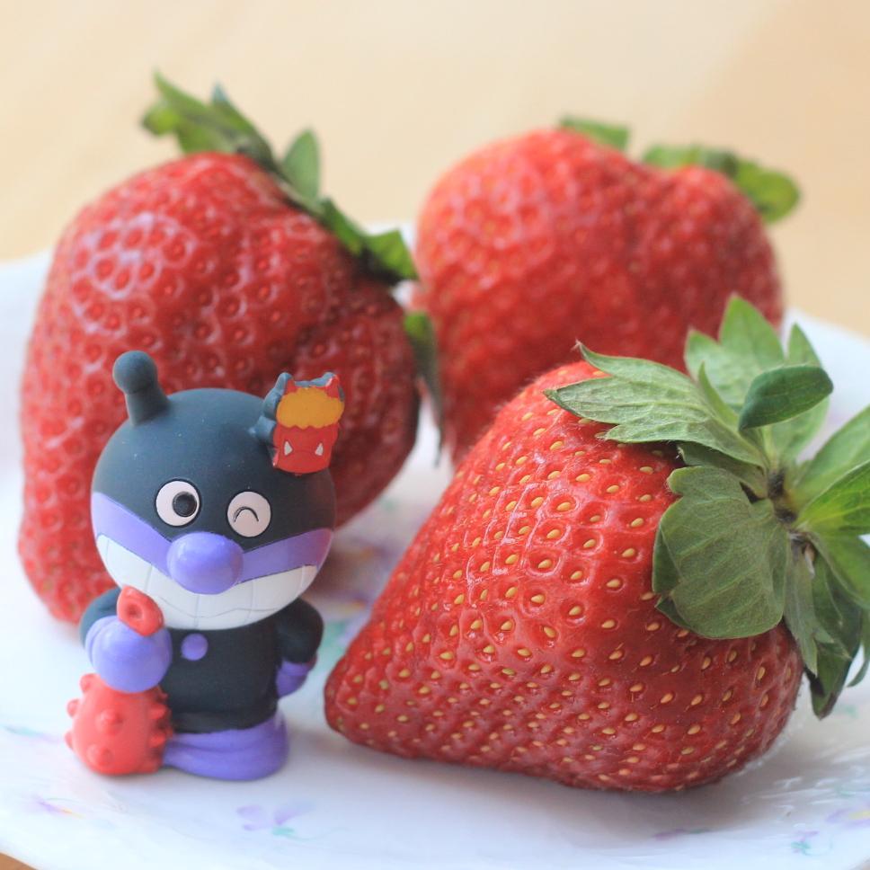 きまぐれふぉとろがーで、ばいきんまん大好き。どちら様もフォロー返し致します。音楽/写真/旅/食/酒/生物/釣/理/乗り物/建物/RO/英伝/鋼/中部/菌/Excel/VB/アンパンマン/北海道など雑多に呟きます。フォローリムーブご自由にどうぞ。予備 → @C_BAYAO