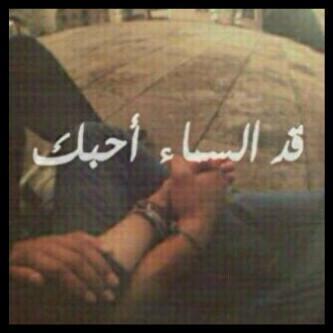 snp/mori_20. bbm/ 7DBF6BAF