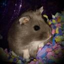 Everett Cobb - @EverettcobbCobb - Twitter