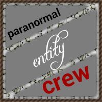 3 friends triggered by the paranormal.  they have one request,  finding paranormal entities
