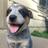 CuteAnimalsPix_'s profile image