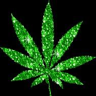 Weed is life