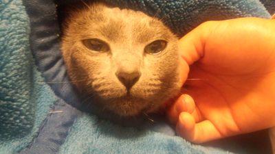 9fcff6c60896441's profile picture. こんちわ！　フォロー返します！誰でもカモーン