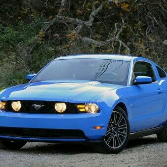 mysticaardvark's profile picture. 