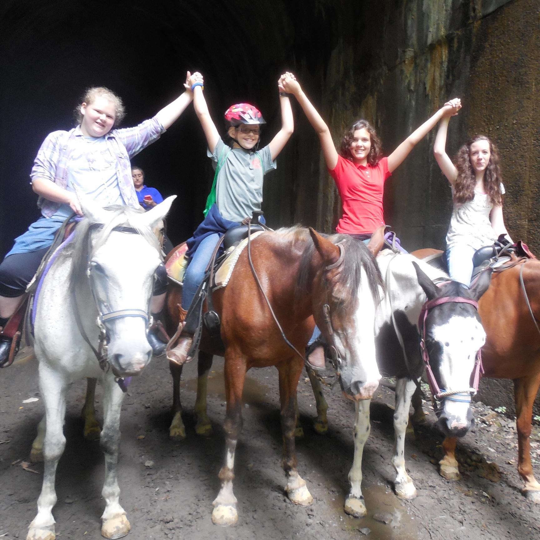 Horsey_Joley's profile picture. I'm Joley! I love horses, The Vamps and anything that's funny. :P I play piano and sing in a choir. :)