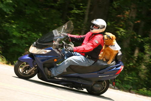 billmeek's profile picture. 