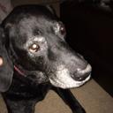 Andrew Blinn - @DrewBlinn - Twitter