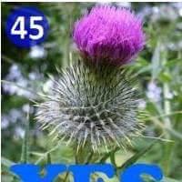 af6fe09a5f3a4b6's profile picture. 