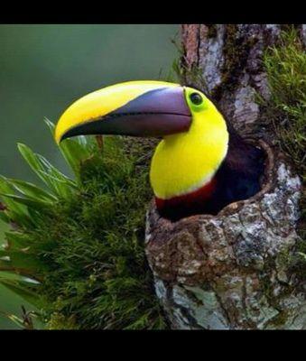 joseferreira935's profile picture. 