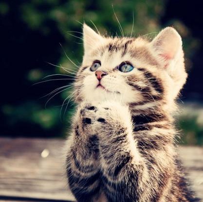 rloyolaguerrero's profile picture. 