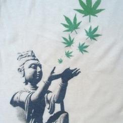 unspokenzen's profile picture. 