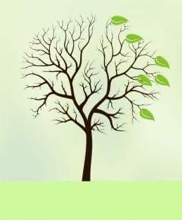 Empresa de Consultoria Ambiental,
entre em contato conosco: contato@cedrusambiental.com.br