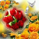 Omer4545 Omer4545 (@591dc8d5d97e413) Twitter