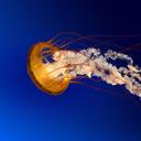 antonio mike colvin - @deke43210 - Twitter