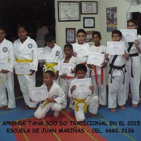 Practico Tang Soo Do Tradicional, Ingeniero y Auditor de Sistemas, Especialista en Medios Electrónicos de Pagos (ATMs/POS), Seguridad,TI, +20 años experiencia
