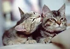 Juanjose12Rivas's profile picture. 