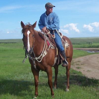 Family Ranching in the Special Areas. Striving to produce the finest Limousin feeder cattle on the planet.