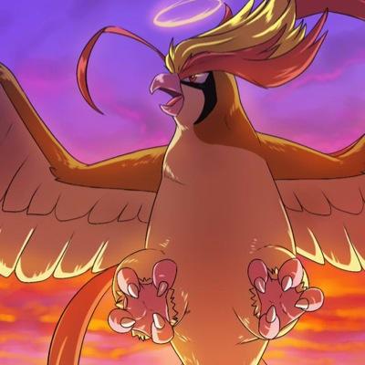 A Mega Pidgeot, the only of its kind to be able to stay in its Mega form. Amazing huh? I am Sir Elevar. King of skies.