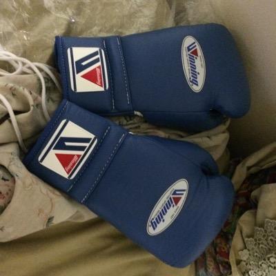 Boxing,Running,Music,Movies and Video games otaku