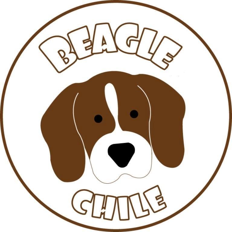 BeagleChileOfic Profile Picture