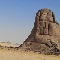سبيع العارض (@8811amh) 's Twitter Profile