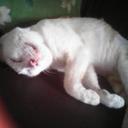 wiqoyatul muruah (@05e681938ffd46a) Twitter