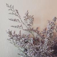 ssal (@uzussal) 's Twitter Profile