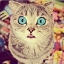 judith reyna - @judithreyna7 - Twitter