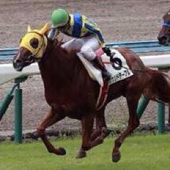 競馬 セカンドテーブル 
Twitter挑戦よろしくー
愛知