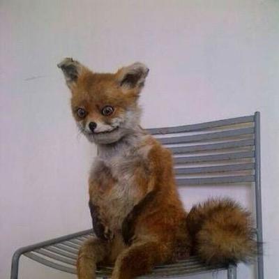 embryonic_youth's profile picture. Professional procrastinator and avid self-loather.