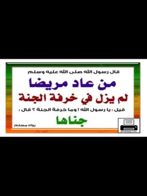 ZuZyPFactory's profile picture. (＝￣()￣=)