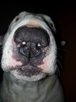 Ruth_marshall27's profile picture. Mamma, Bee